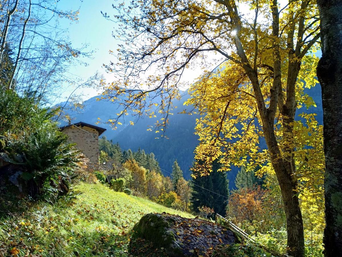 Orobie Alps Resort Roncobello Екстер'єр фото